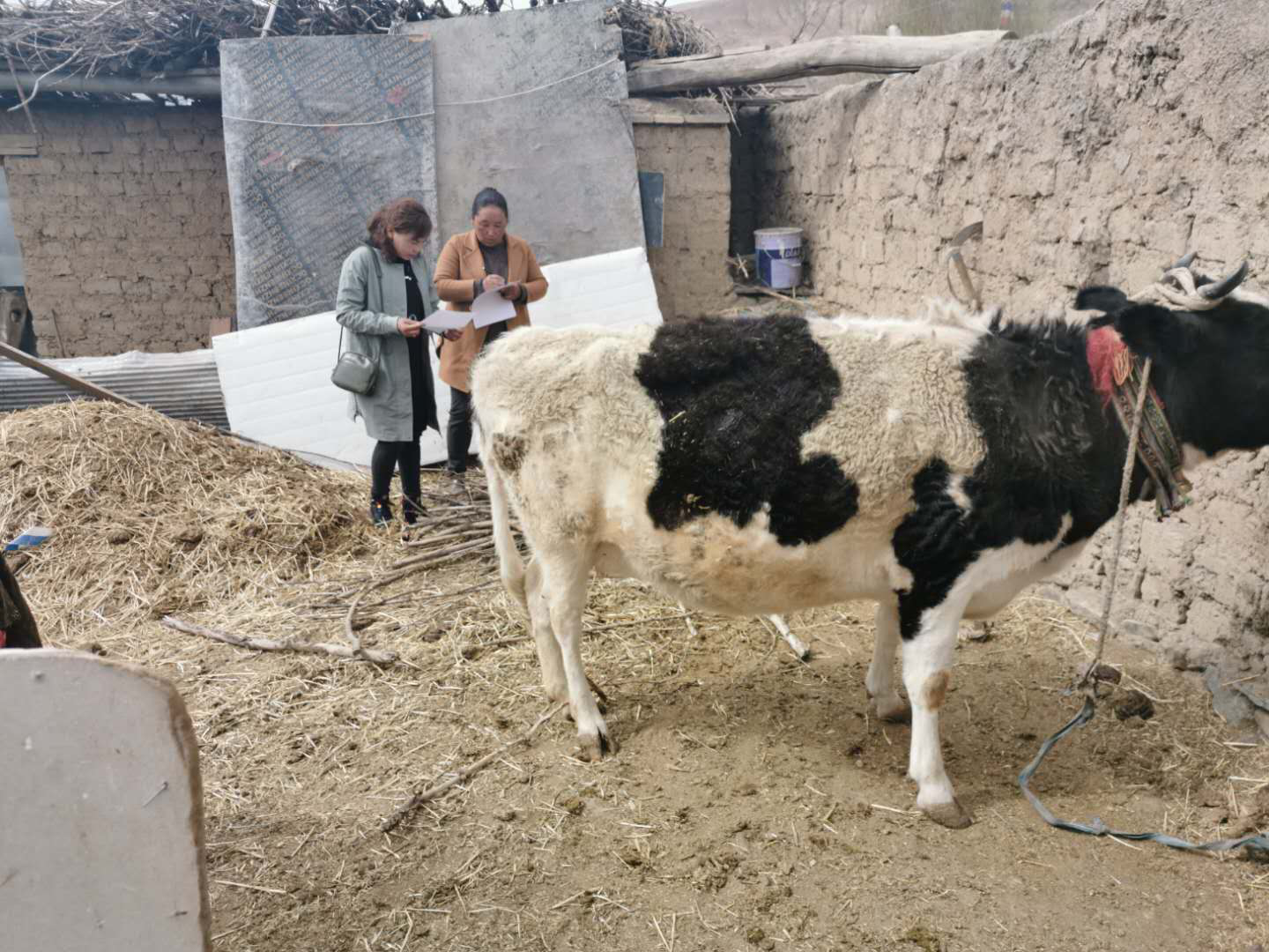 图片1.png 图片1.png